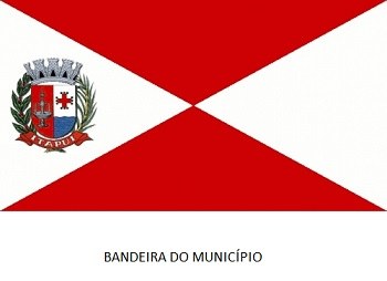Bandeira do Município